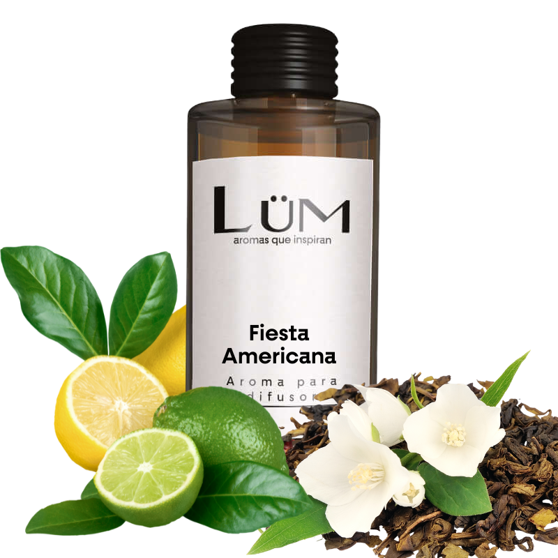 Fiesta Americana Hotel - Aroma difusor