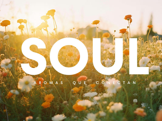 Marketing Olfativo: La Estrategia Invisible que Conecta con las Emociones - Soul Aroma