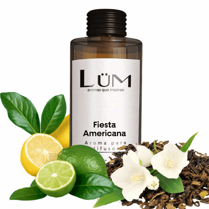 Fiesta Americana Hotel - Aroma difusor