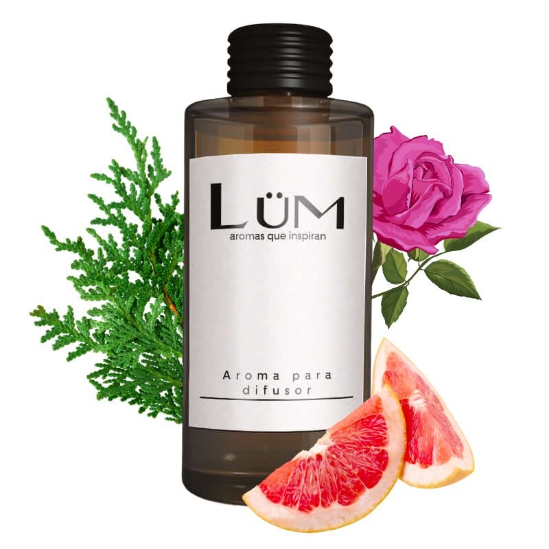 Forest - Aroma difusor