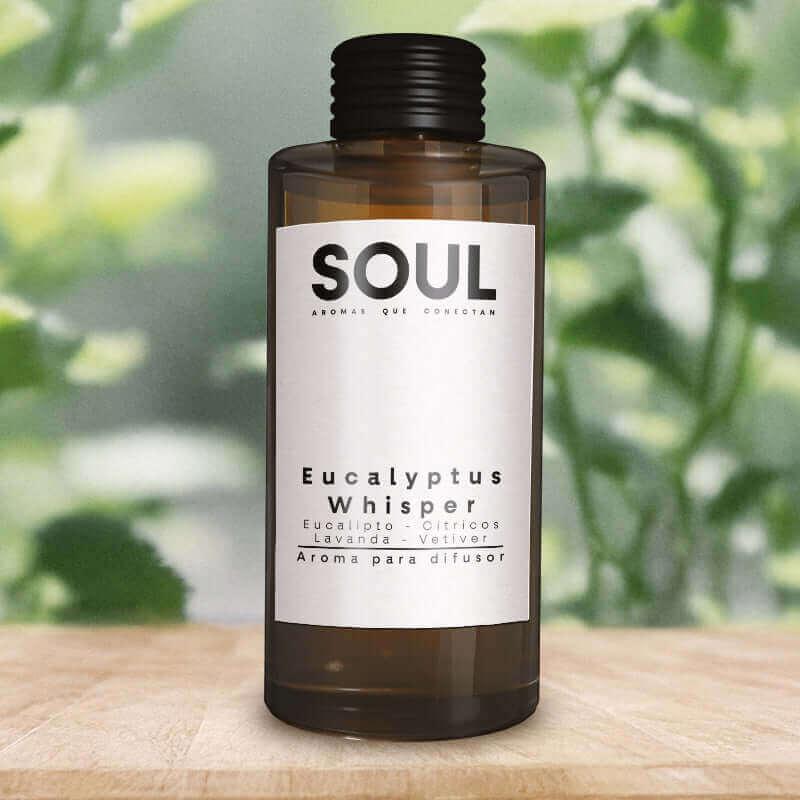 Muestrario de 6  aromas