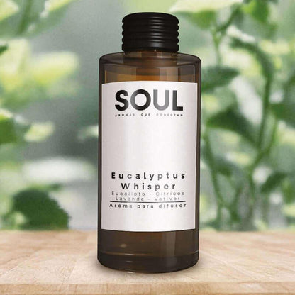 Muestrario de 6  aromas