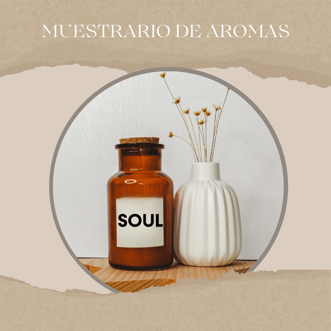 Muestrario de 6  aromas